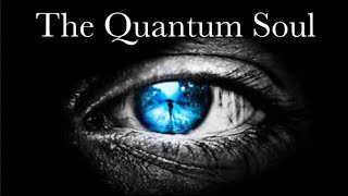 What is CONSCIOUSNESS The Case for the Quantum Soul [upl. by Asnerek]