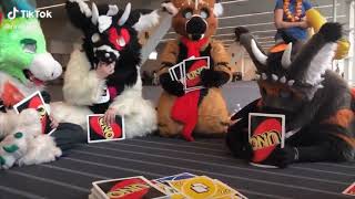 furry TikTok Memes 3 [upl. by Attenal]