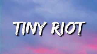 Sam Ryder  Tiny Riot Lyrics [upl. by Pears]