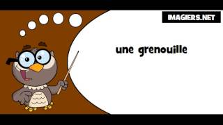 Comment prononcer  une grenouille [upl. by Chadwick]