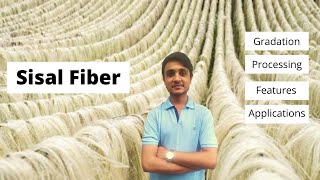 Sisal Fibre Production  Gradation  Processing  Features  Applications [upl. by Lesirg844]