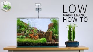 HOW TO Low Maintenance Nano Aquascape [upl. by Adabel]