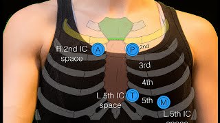 Sternal angle [upl. by Lepper]