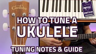 How To Tune A Ukulele  Complete Beginners Guide Including Tuning Notes Tips amp Alternate Tunings [upl. by Ecreip]