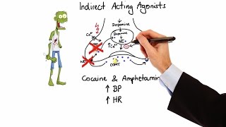 Pharmacology  ADRENERGIC RECEPTORS amp AGONISTS MADE EASY [upl. by Asilehs479]