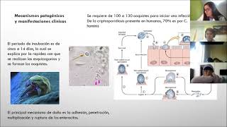 Cryptosporidium [upl. by Galven341]