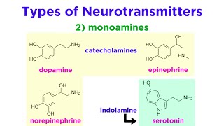 Neurotransmitters Type Structure and Function [upl. by Icat]