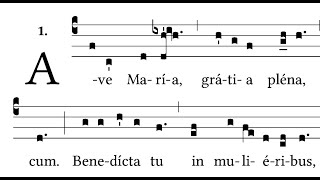 Ave Maria  Gregorian Chant [upl. by Neggem403]