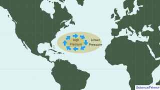 Ocean Gyres and Geostrophic Flow [upl. by La96]