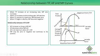 Class 12th – Relationship between TP AP and MP Curves  Economics  Tutorials Point [upl. by Ailices315]