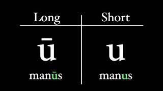 The Latin Alphabet  Vowel Pronunciation [upl. by Hanson956]