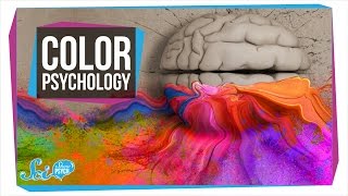 Does Color Really Affect How You Act [upl. by Einnob]