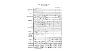 Sibelius Karelia Overture Op 10 with Score [upl. by Aleciram]