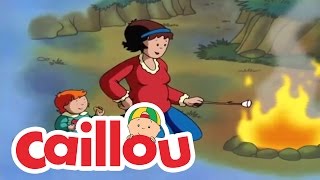 Caillou A Camping We Will Go  Cartoon for Kids [upl. by Latrell]