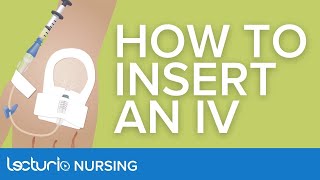 How to Insert an IV Step by Step 💉  Essential Nursing Skills [upl. by Eizus]