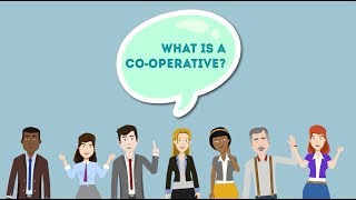 What is a coop [upl. by Nyhagen]