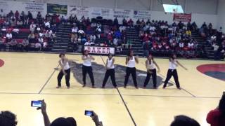 Baker High School Dancing Dolls 20122013 [upl. by Ute]