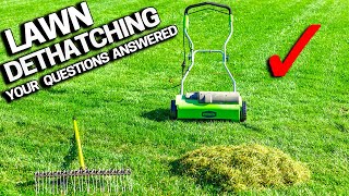 DONT DETHATCH Your LAWN Before Watching  Your Questions Answered [upl. by Annairt]