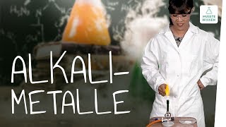 Alkalimetalle I Hauptgruppe Periodensystem I musstewissen Chemie [upl. by Ahsemac]