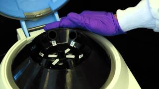 How to Use a Centrifuge [upl. by Jaclyn]