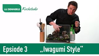 Iwagumi Style im 35L Scapers Tank  Aquarium nach Rezept Folge 3  DENNERLE [upl. by Murrell691]