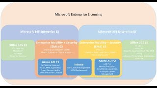 Microsoft 365 E3 and E5 Licensing [upl. by Sexton]