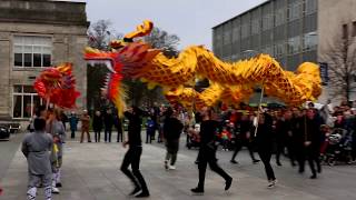 Dragon Dance for Chinese New Year 2020 [upl. by Donelson]