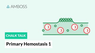 Primary Hemostasis  Part 1 Platelet Adhesion [upl. by Reave]