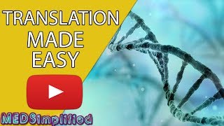 DNA Translation Made Easy [upl. by Sclater885]