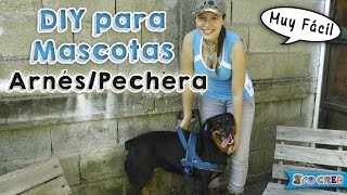 Cómo hacer un arnéspechera para tu perro │DIY [upl. by Ydnil608]