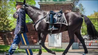 Their duty done two horses who led funerals at Arlington are given new homes [upl. by Harak296]