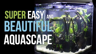 Dennerle NanoCube 60L Aquascape  new tank setup [upl. by Meingoldas874]