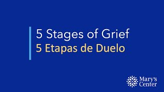 5 Stages of Grief  5 Etapas de Duelo [upl. by Kenweigh]