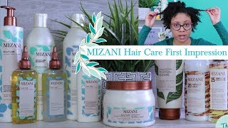 Mizani Hair Products  Mizani Scalp amp Natural Hair Care [upl. by Nottus]