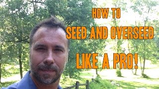 How to Plant Grass Seed and Overseed like a PRO [upl. by Rahcir]