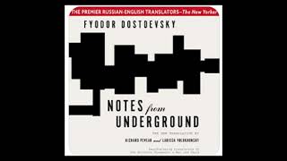 Notes From Underground  Full Audiobook [upl. by Nnyletak]