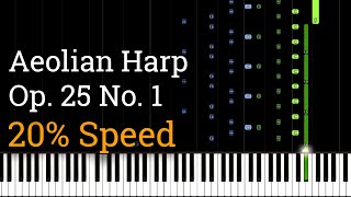 Chopin  Etude Op 25 No 1 Aeolian Harp Slow Piano Tutorial 20 Speed [upl. by Nossah393]