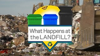 What Happens at the Landfill [upl. by Lodhia]