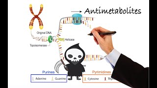 Pharmacology  CANCER DRUGS  ANTIMETABOLITES MADE EASY [upl. by Jezabella]