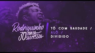 Rodriguinho  Tô Com Saudade  Alô  Dividido 30anos30sucessos [upl. by Trumann869]