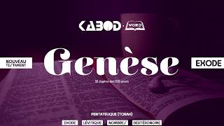 « Genèse »  LAncien Testament  La Sainte Bible audio VF Complète [upl. by Earahc291]