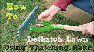 How to Dethatch Lawn Using a Thatching Rake [upl. by Notneb230]