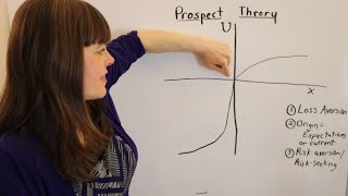 Prospect Theory An Overview [upl. by Ulric]