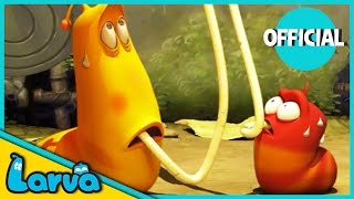 LARVA Funny Animation  LARVA AND THE SPAGHETTI  Cartoons  Comics  LARVA Official [upl. by Moody]