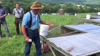 Joel Salatin talks pastured chicken [upl. by Dorfman]