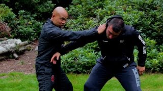 Difference between tai chi and wing chun [upl. by Llenrev]