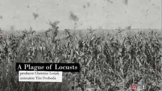 A Plague of Locusts  Nebraska Stories [upl. by Nylavad591]