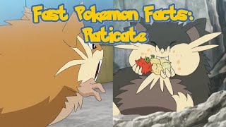 Fast Pokemon Facts Raticate [upl. by Verina265]