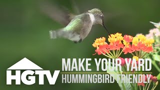 Way to Grow Plant a Hummingbird Garden  HGTV [upl. by Bartolomeo]