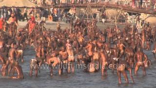 Best of Allahabad Kumbh mela  Worlds largest religious gathering [upl. by Roumell]